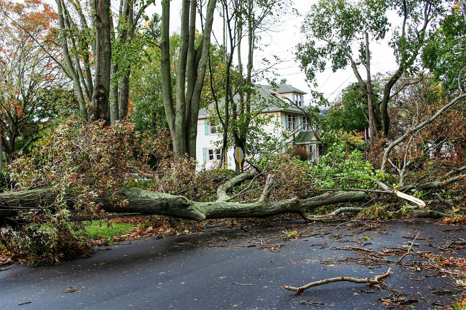 A house that has a driveway blocked due to storm damage