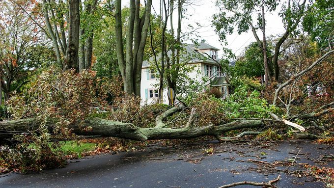 A house that has a driveway blocked due to storm damage