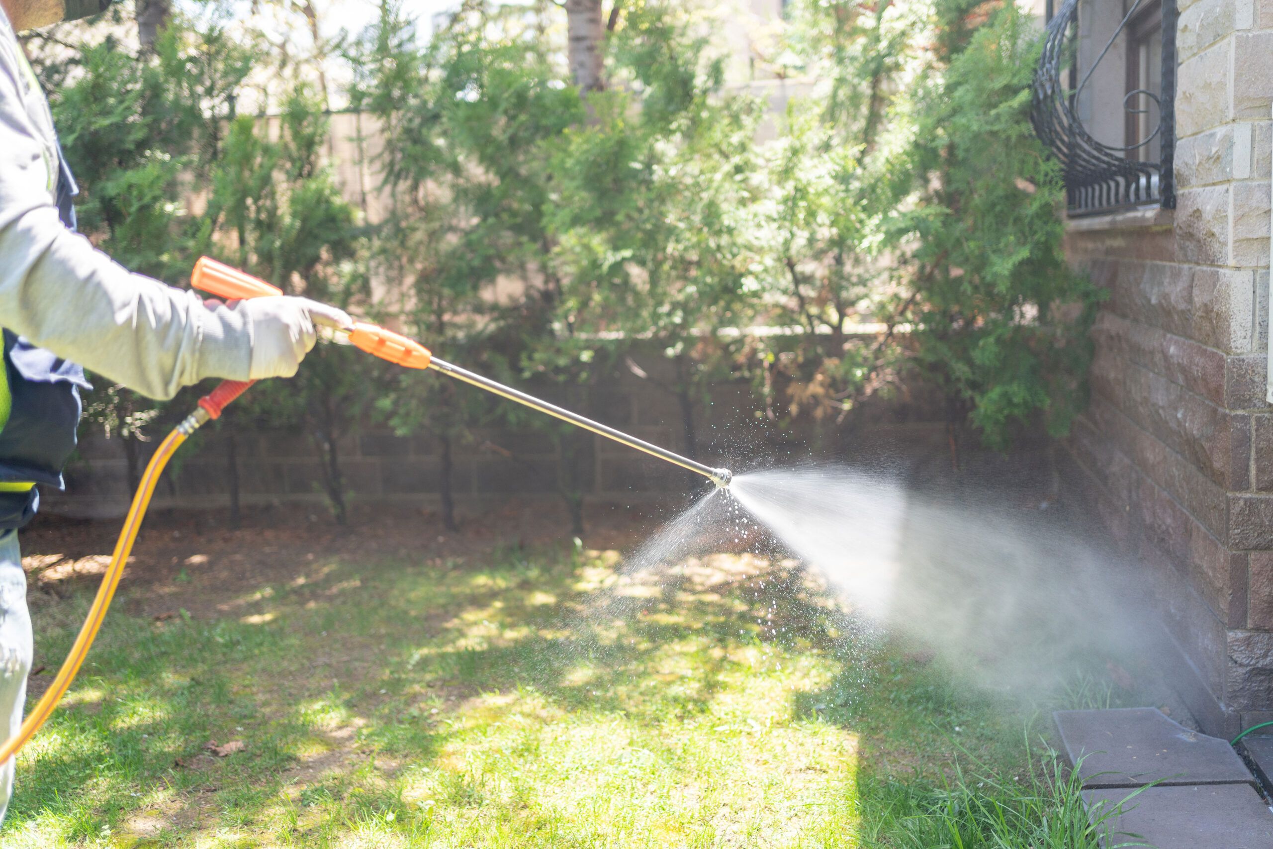 Exterminator spraying the back yard