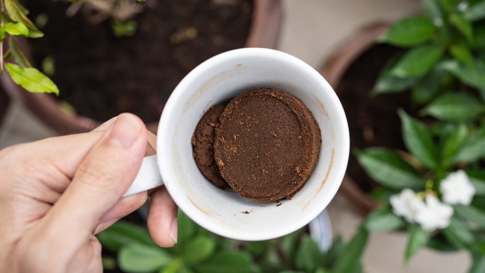 Coffee ground in a cup of coffee with plants in the background