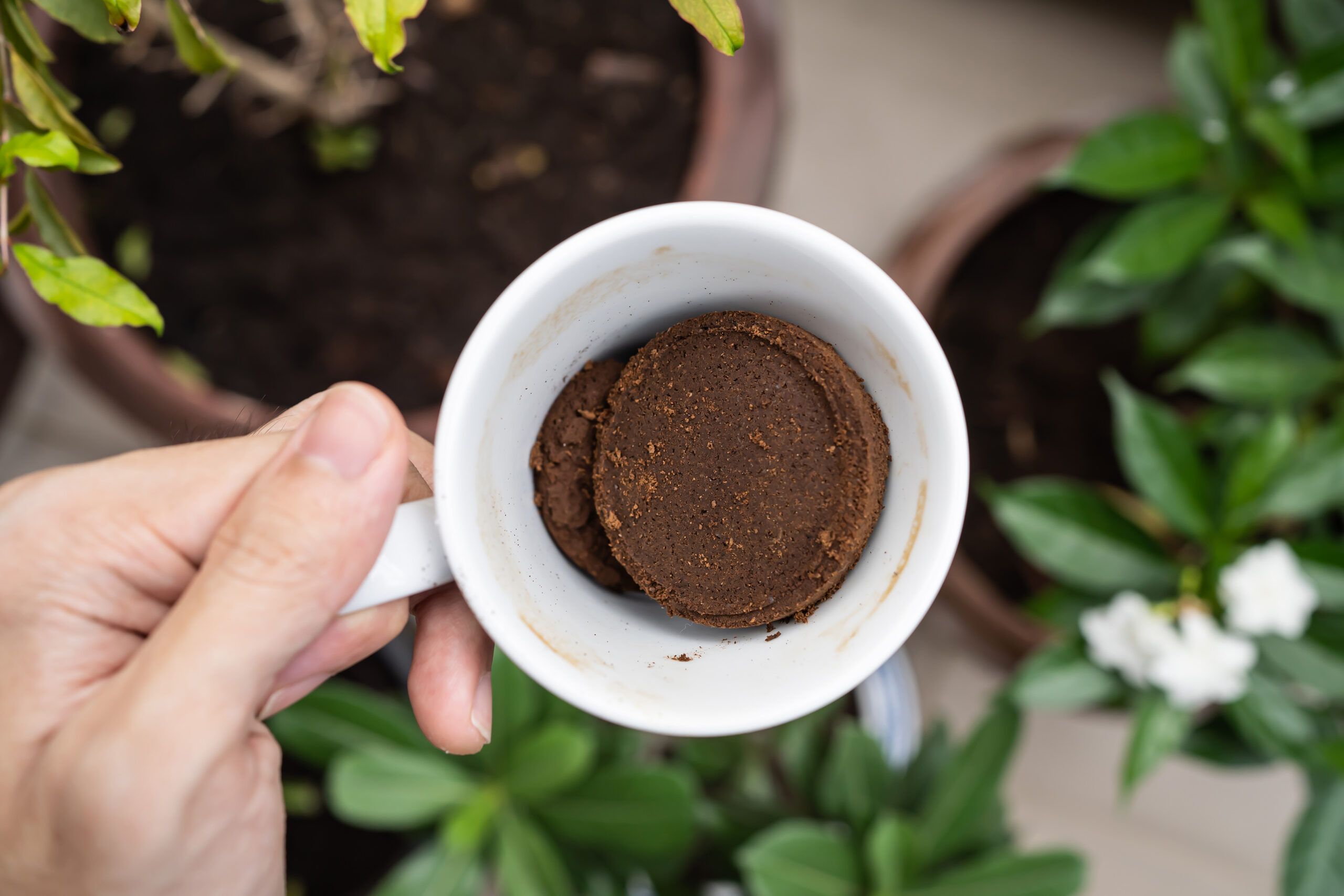 Coffee ground in a cup of coffee with plants in the background