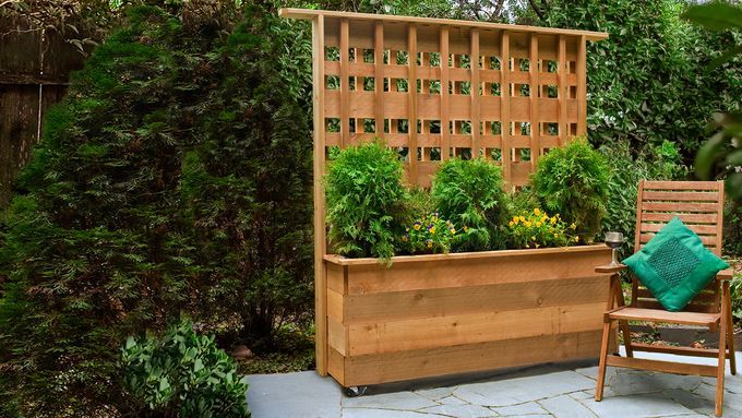 backyard planter with privacy screen