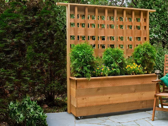backyard planter with privacy screen