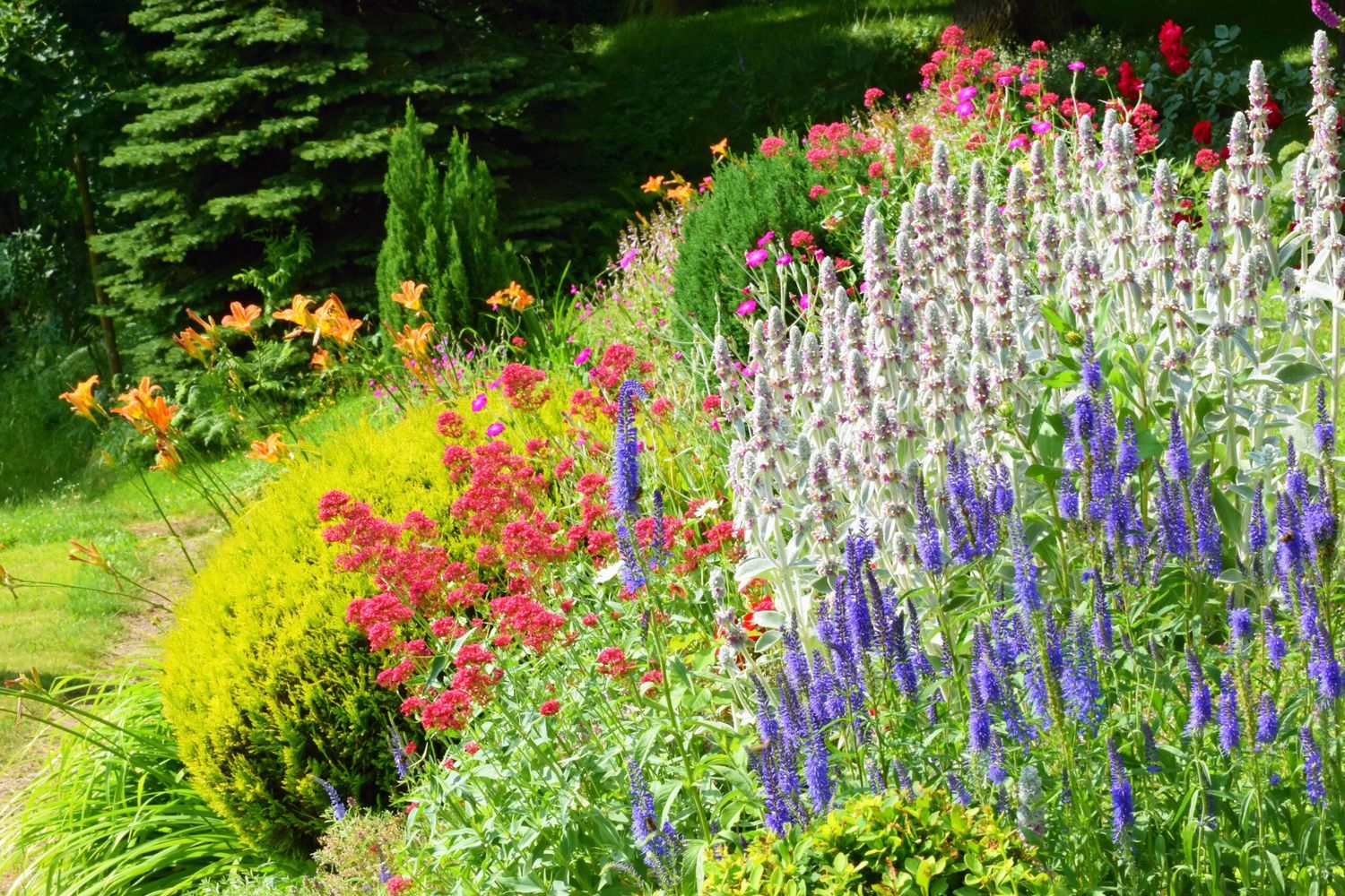 A colorful Perennial Garden