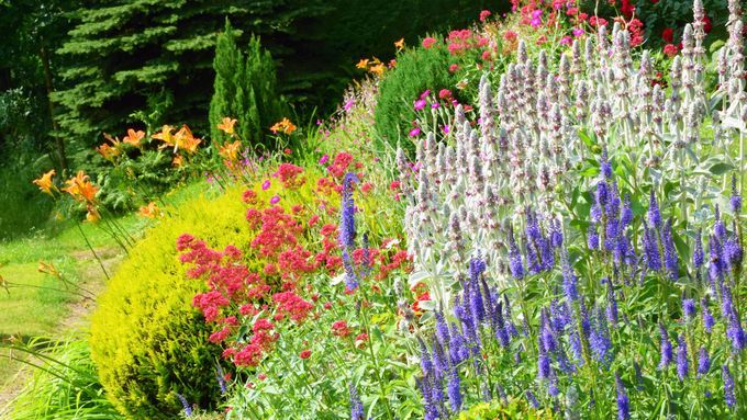 A colorful Perennial Garden