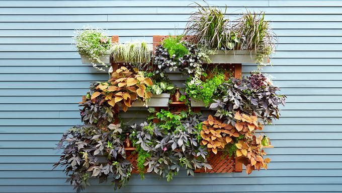 living wall vertical garden built by Mark Powers