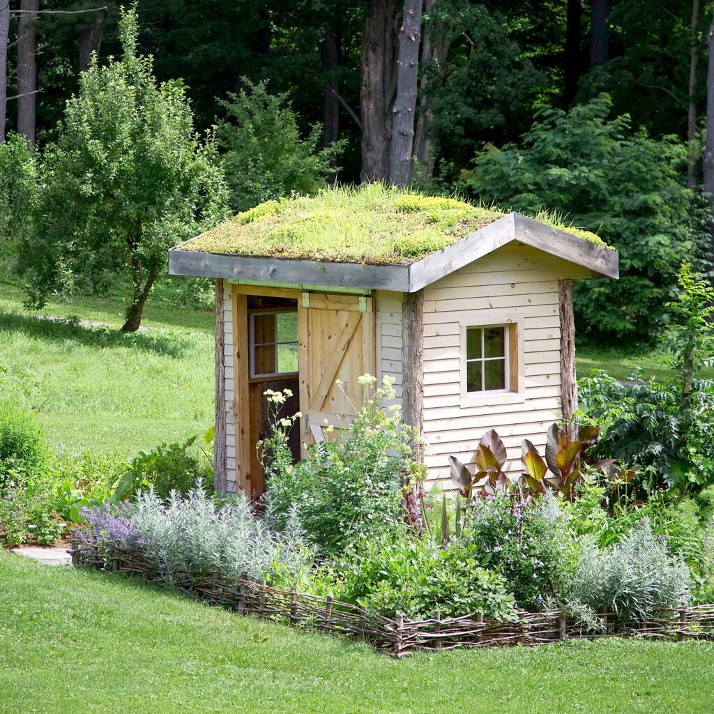 Shed with a green roof