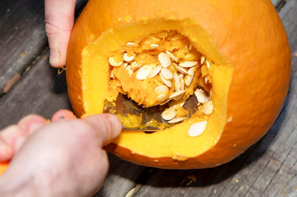 scooping the seeds and fibrous strands from inside a small pumpkin using a metal scoop