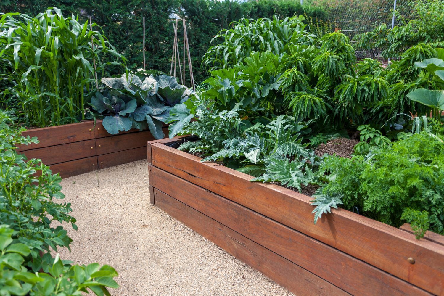 A series of raised garden beds.