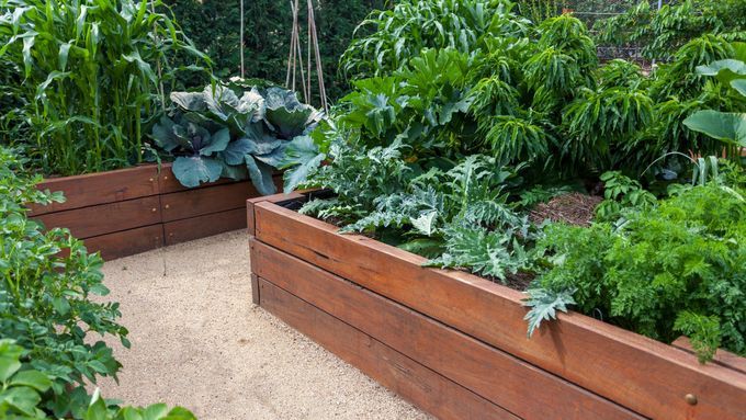 A series of raised garden beds.