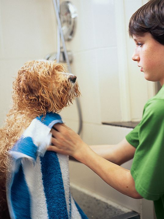 A boy drying a wet dog at a dog cleaning station.