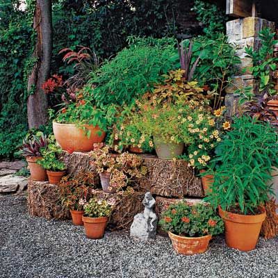 Yard with several planters.