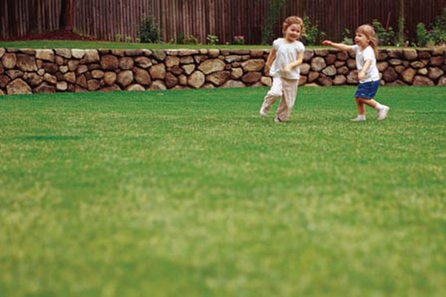 A well cared for lawn with children at play