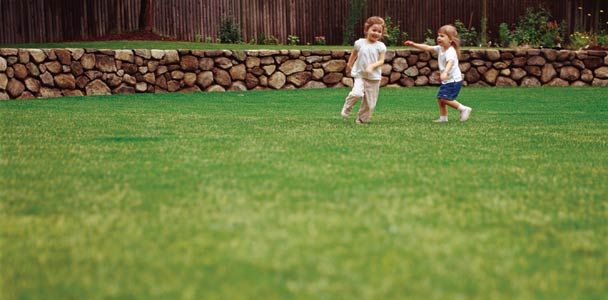 A well cared for lawn with children at play