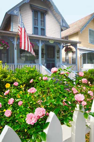 How to Grow Flowers From Seed - Rocky Hedge Farm