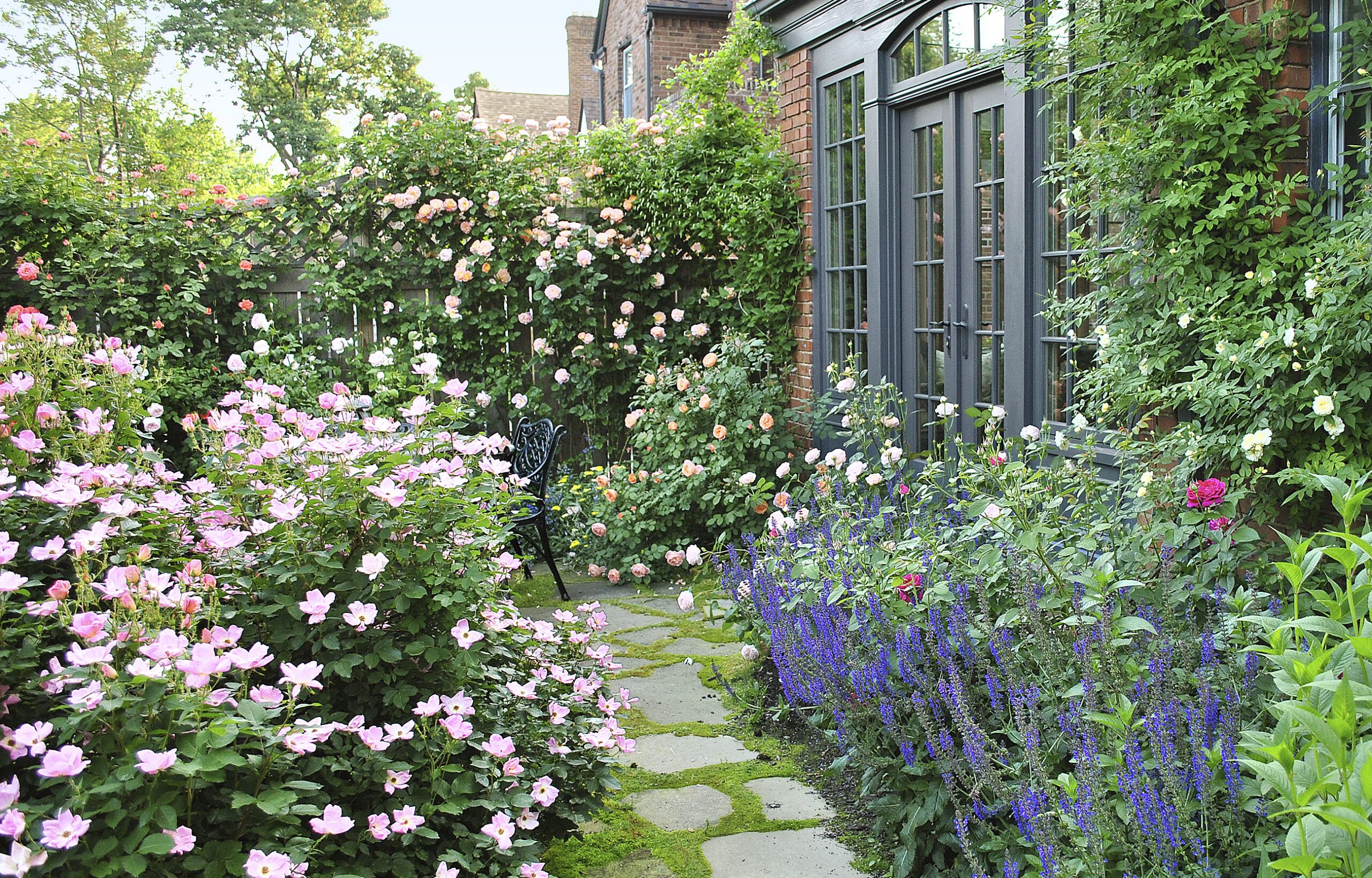 From Blah Lawn to Backyard Rose Garden Paradise - This Old House