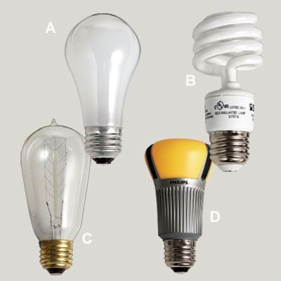 Four different types of lightbulbs.