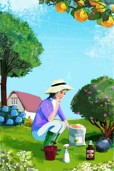 An illustration of a woman providing nutrients to plants.