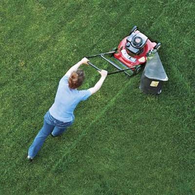 Old push lawn online mower