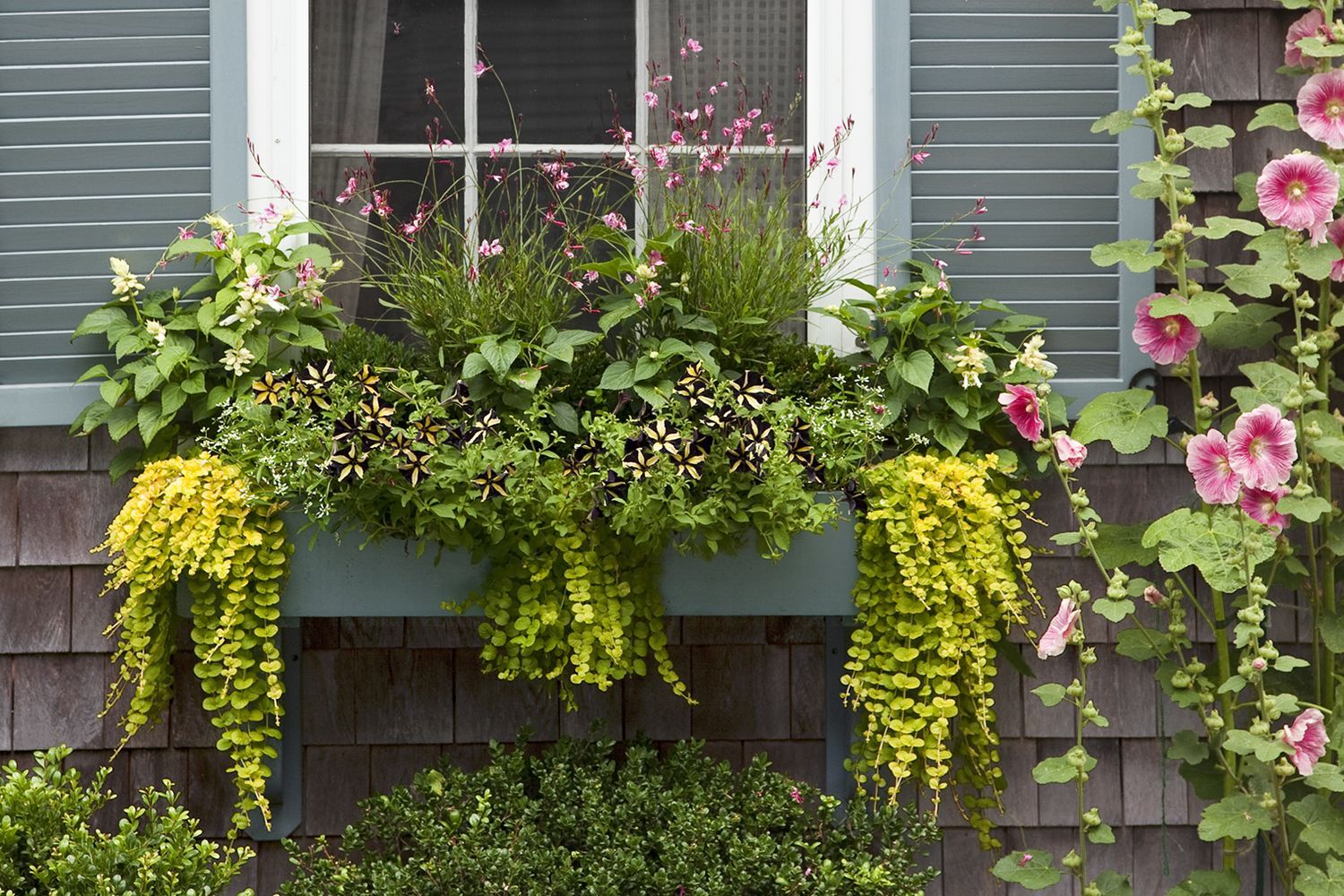 window planters