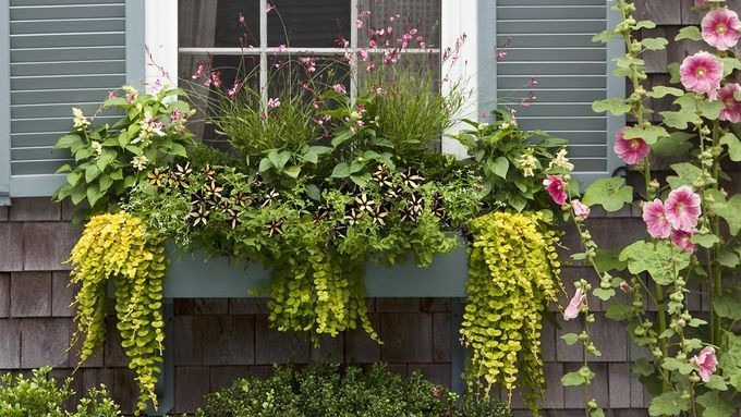 window planters