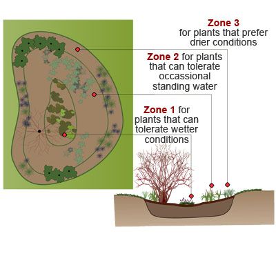 How to Build a Rain Garden - This Old House