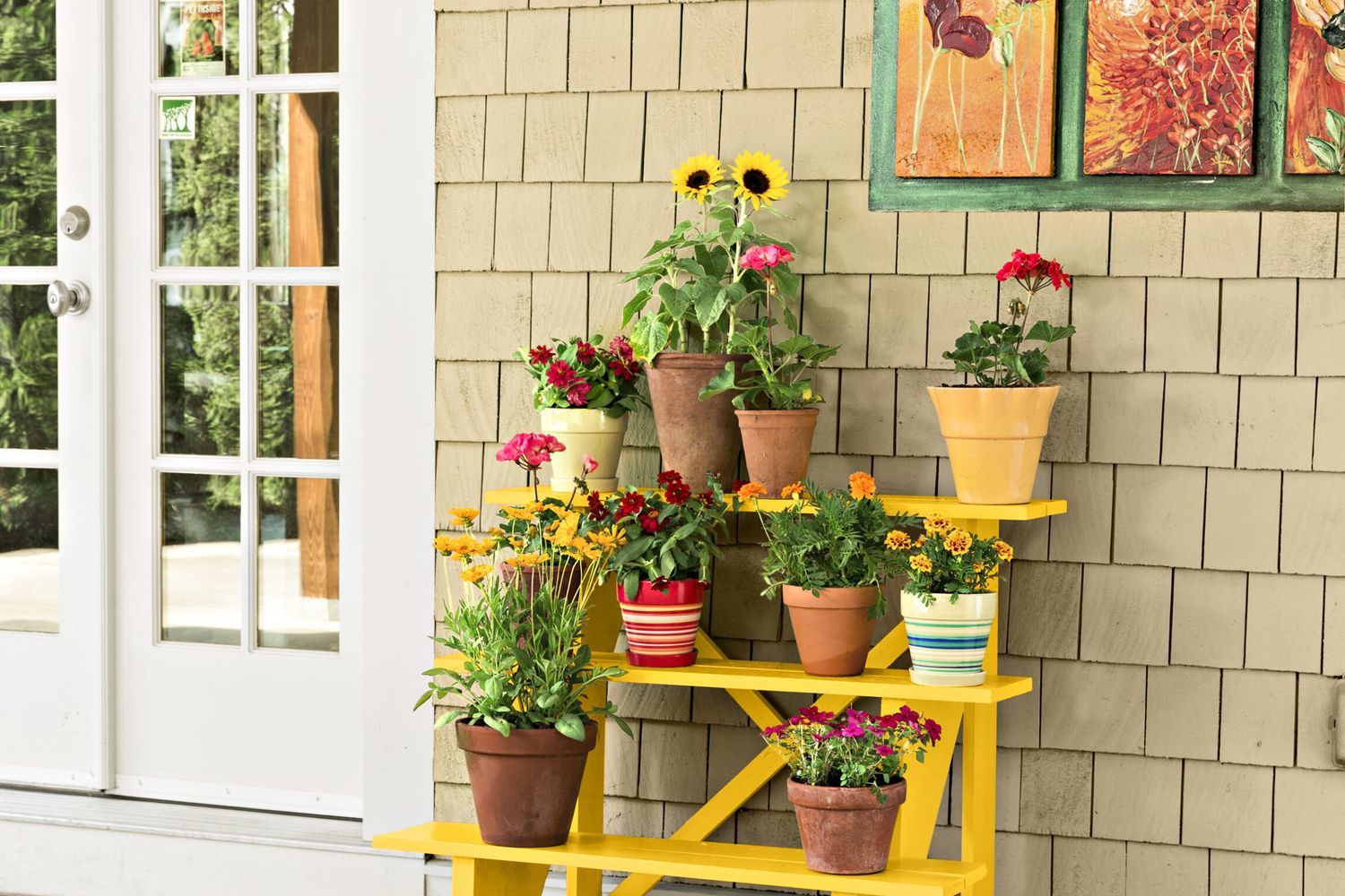 01_riser_plants_x_a