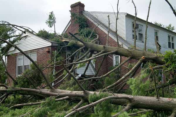 Fallen trees on a home after a storm.