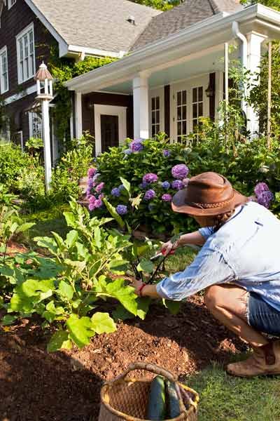 Seed & Sprout - Gardening Hat – Kitchen Store & More