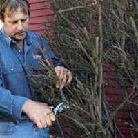 Fall Landscaping Checklist for DIYers - This Old House