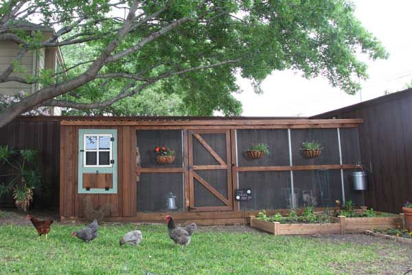 A chicken coop sitting in the natural shade.