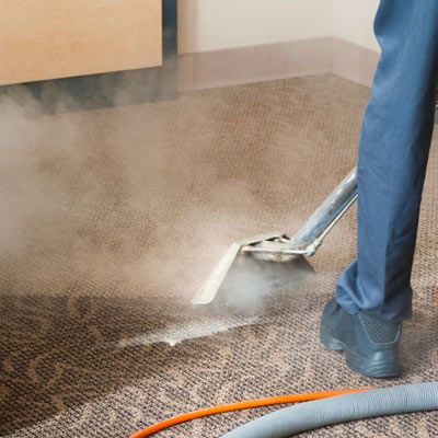 How to use a steam cleaner on carpet, in the bathroom, on mattresses and  more