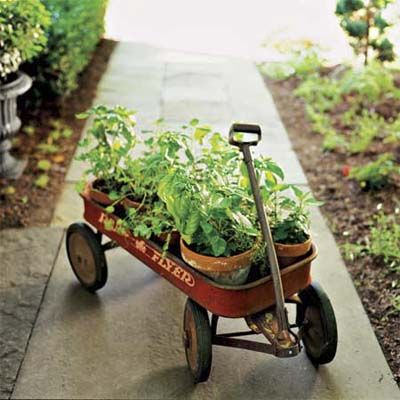 an old radio flyer being used as a trolley for plants in a garden