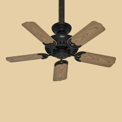 Ceiling fan