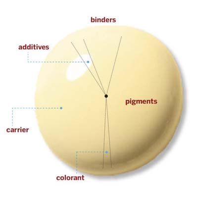 A labeled diagram of a paint globule.