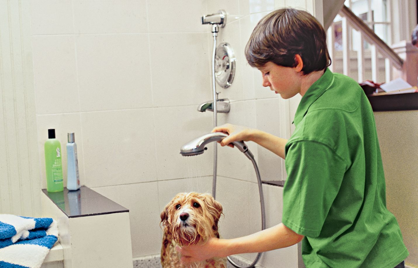 A boy rinses a dog in the cleaning station.