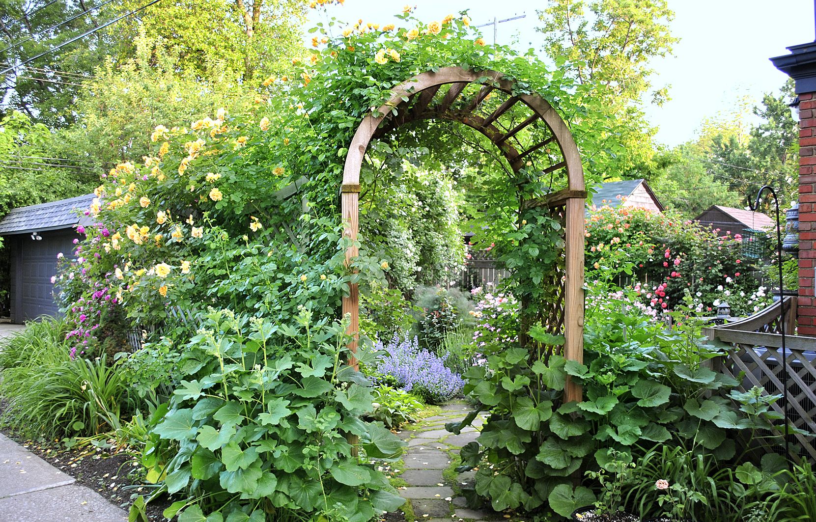 From Blah Lawn to Backyard Rose Garden Paradise - This Old House