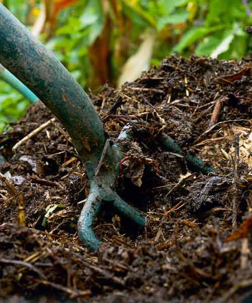 A pitchfork being used to nourish soil.