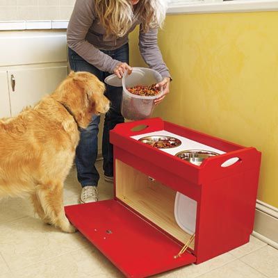 Do being fed at a elevated feeding station