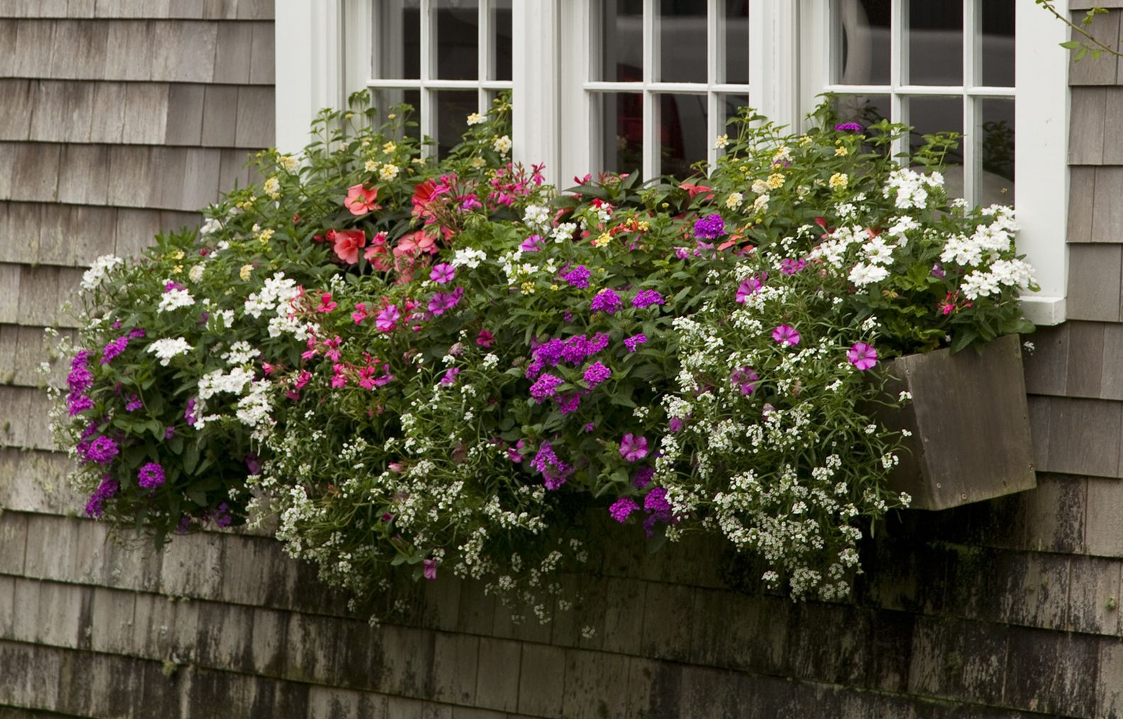 a large window planter