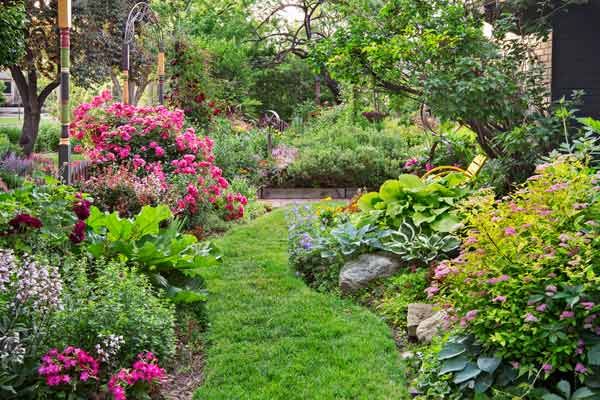 Green Thumb Secrets: Planting Tips for Gardens