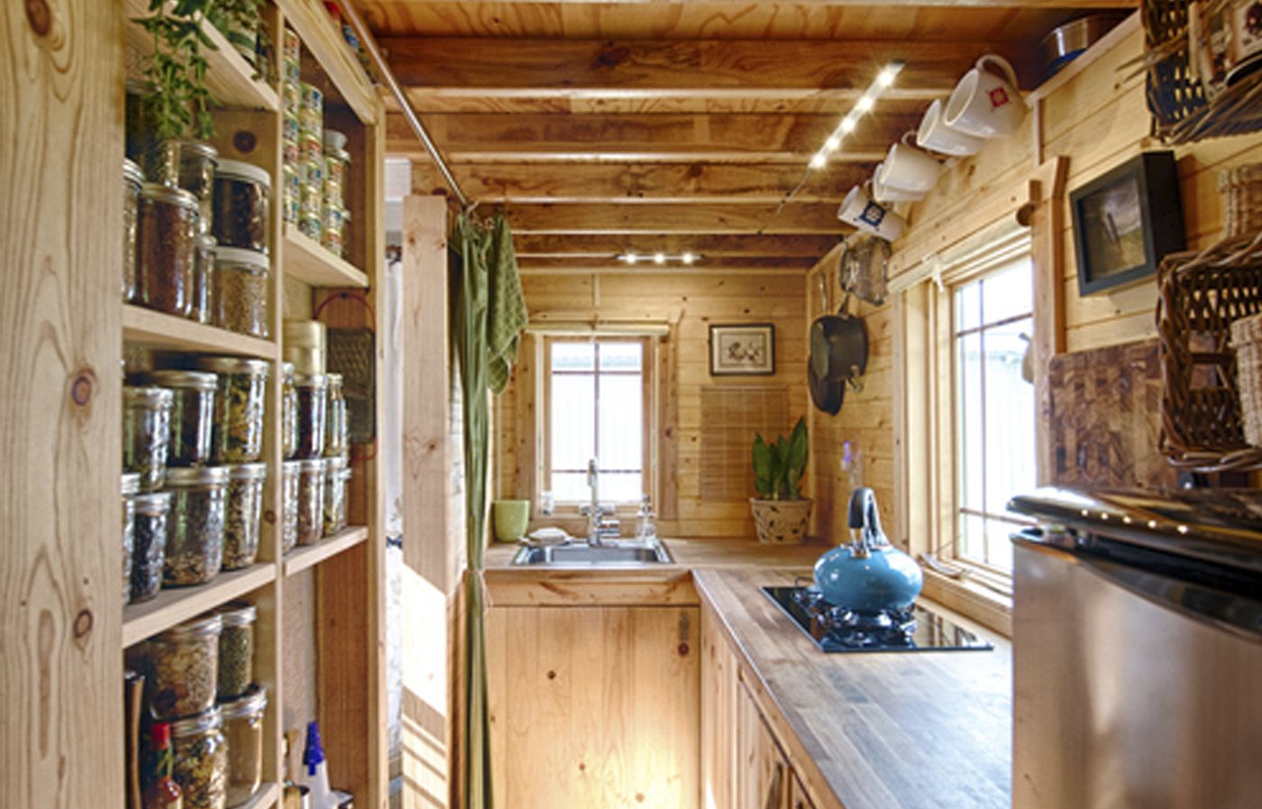 A Couple and Their 2 Dogs Live in a 267-Square-Foot Tiny Home on