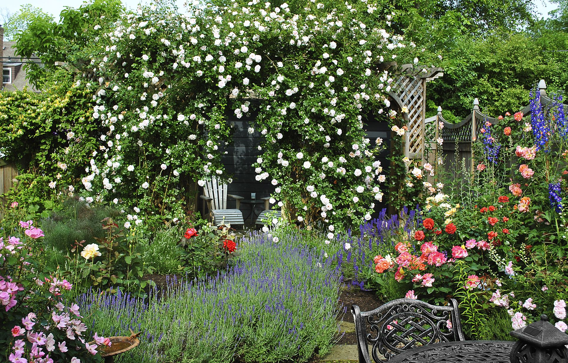 From Blah Lawn to Backyard Rose Garden Paradise - This Old House