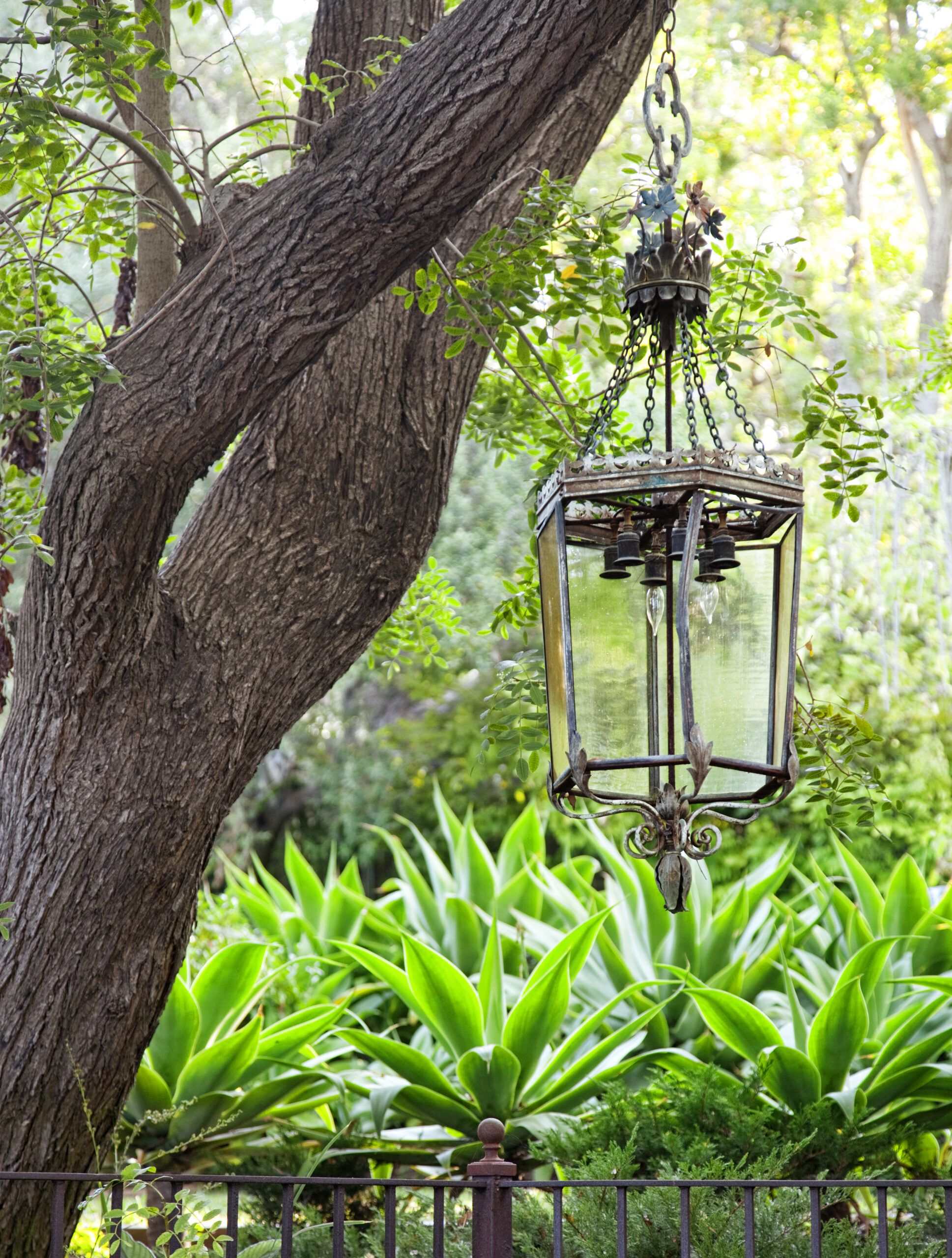 A large pendant light fixture hanging from a tree branch outside.