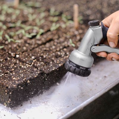 A spray hose is used to water plants for a garden.