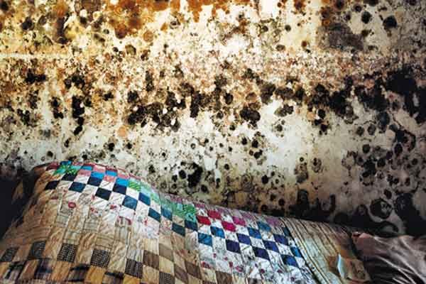 A house with mold after a storm.