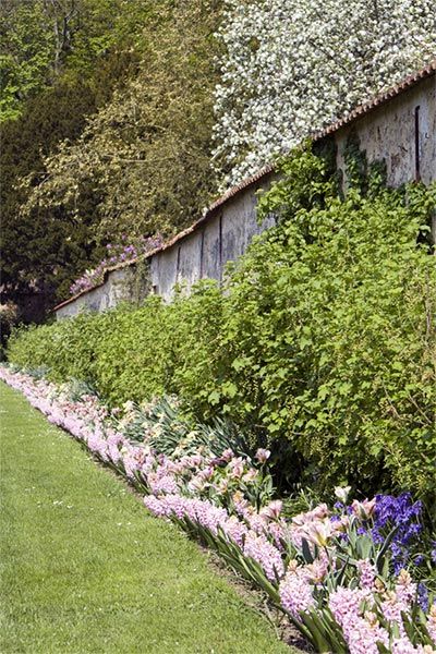 Garden with blooming bulbs.