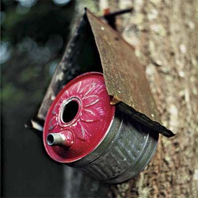 using an old metal can to act as a birdhouse