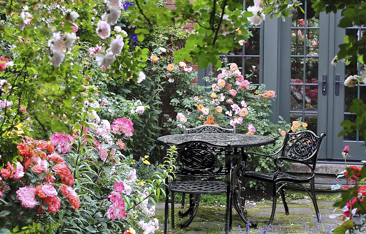 From Blah Lawn to Backyard Rose Garden Paradise - This Old House