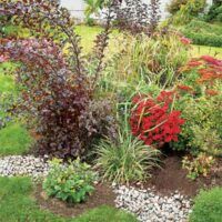 Using Rain Gardens To Keep Waterways Pollution-free - This Old House